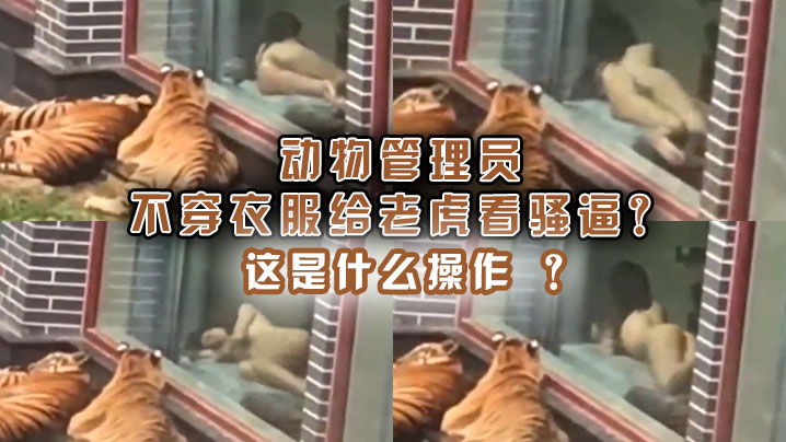 動物管理員不穿衣服給老虎看騷逼這是什麼操作