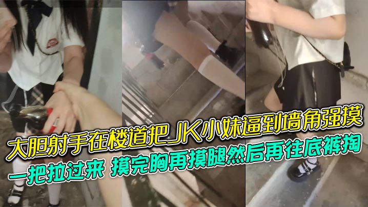 大膽射手在樓道把JK小妹逼到牆角強摸一把拉過來摸完胸再摸腿然後再往底褲掏牛逼